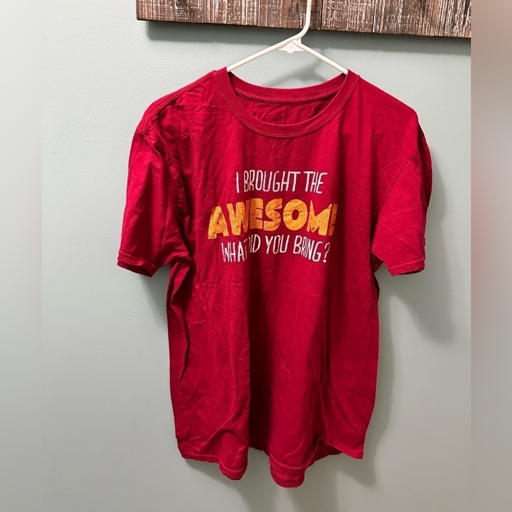 Funny Urban Pipeline I BROUGHT THE AWESOME WHAT DID YOU BRING T Shirt (XL)